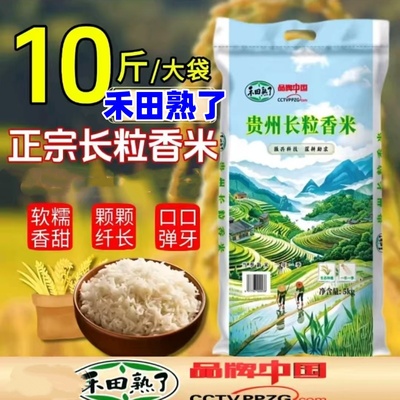 禾田熟了贵州长粒香米