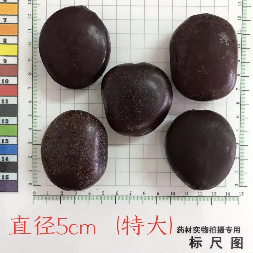 中药材榼藤子1000g 木腰子 象豆 合子 榼子 眼镜豆 过岗龙种子