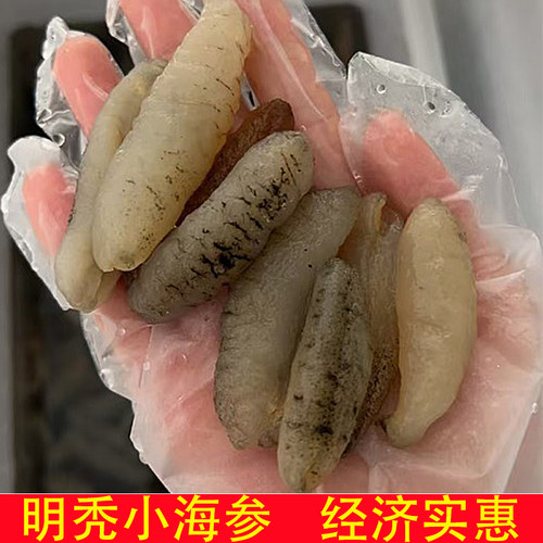 明秃小海参干货泡发率高