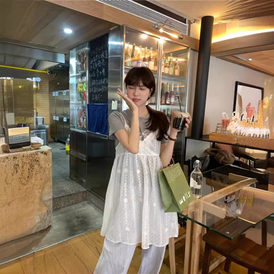 实拍韩chic印花短袖T恤+网纱小众设计感罩衫叠穿连衣裙女装新款