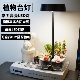 多肉DIY微景观创意多功能床头台灯绿植盆栽补光灯桌面植物生长灯