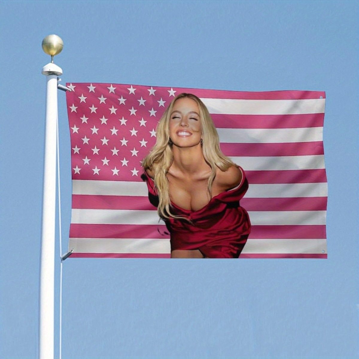 Swee-neyAmericanFlag3X5FT粉