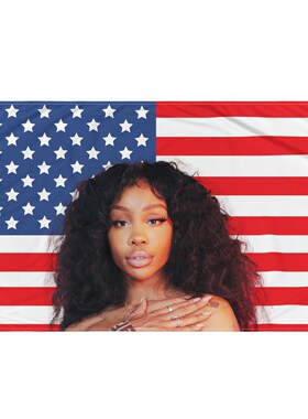 Sza Pink American Flag3x5ft Sza 红色旗帜4扣