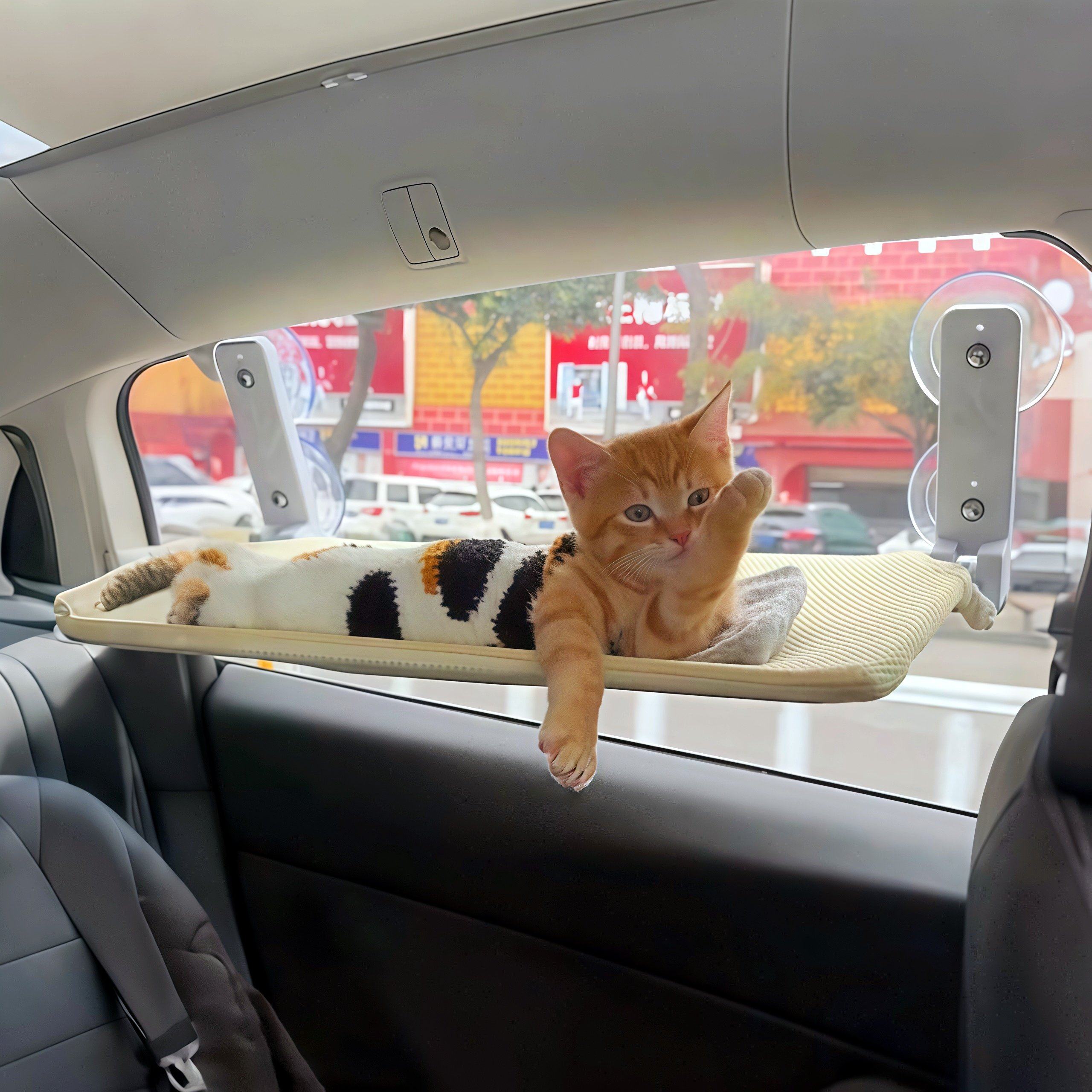 宠物车载窝车窗吸盘吊床外出专用可折叠便携玻璃睡垫猫咪窝车载床,宠物/宠物食品及用品,猫窝/屋/帐篷/沙发,淘宝优惠券,粉丝福利购,淘宝优惠卷