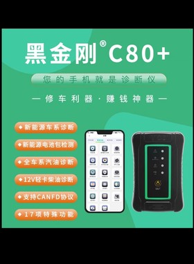 新能源黑金刚C金奔腾汽车检测仪