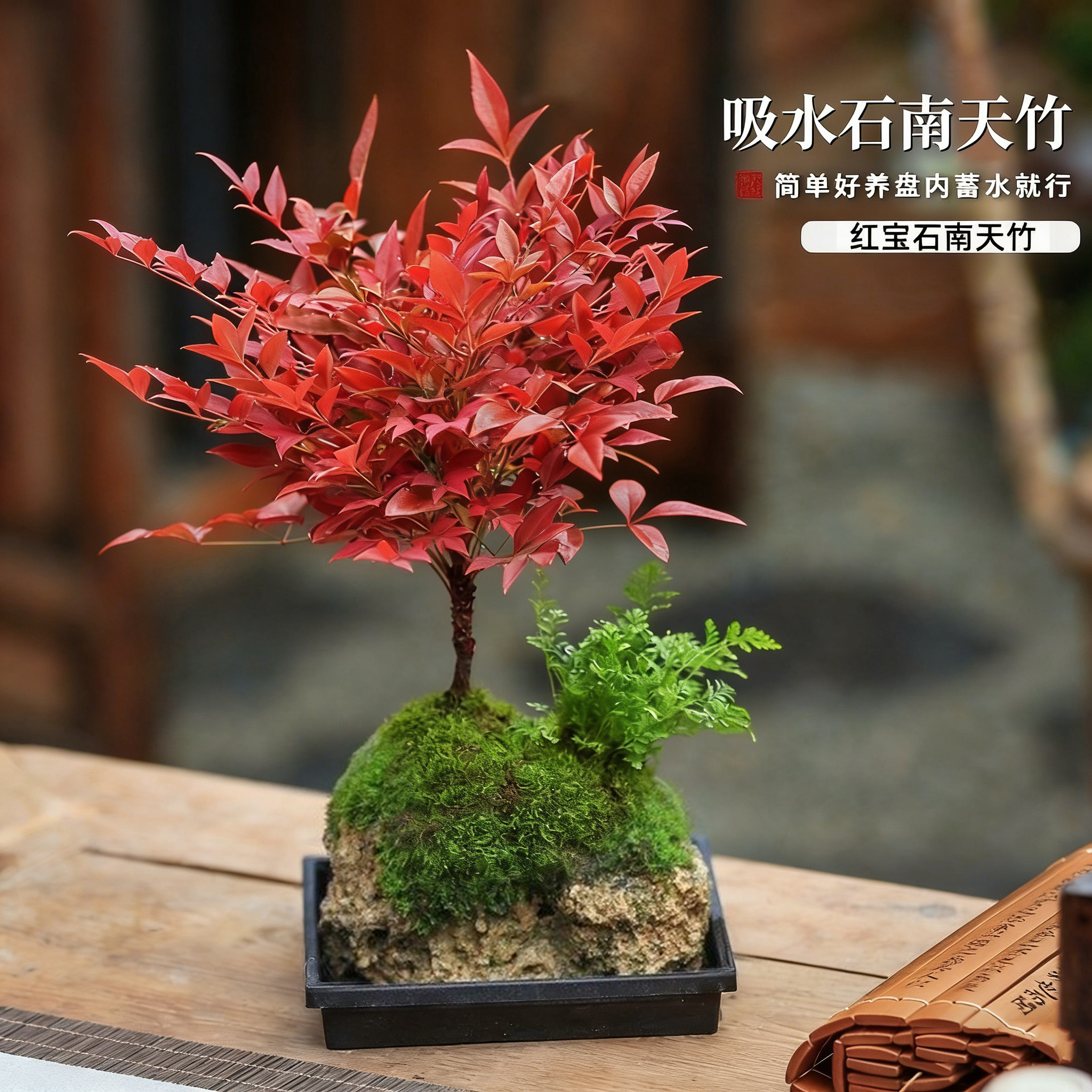 水培南天竹吸水石盆景附石盆栽文竹发财树假山桌面绿植水陆缸造景,鲜花速递/花卉仿真/绿植园艺,造型盆景,淘宝优惠券,粉丝福利购,淘宝优惠卷