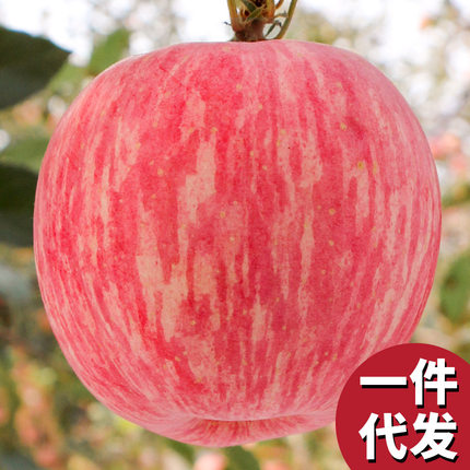 江西信丰红富士苹果新鲜水果10斤装脆甜多汁