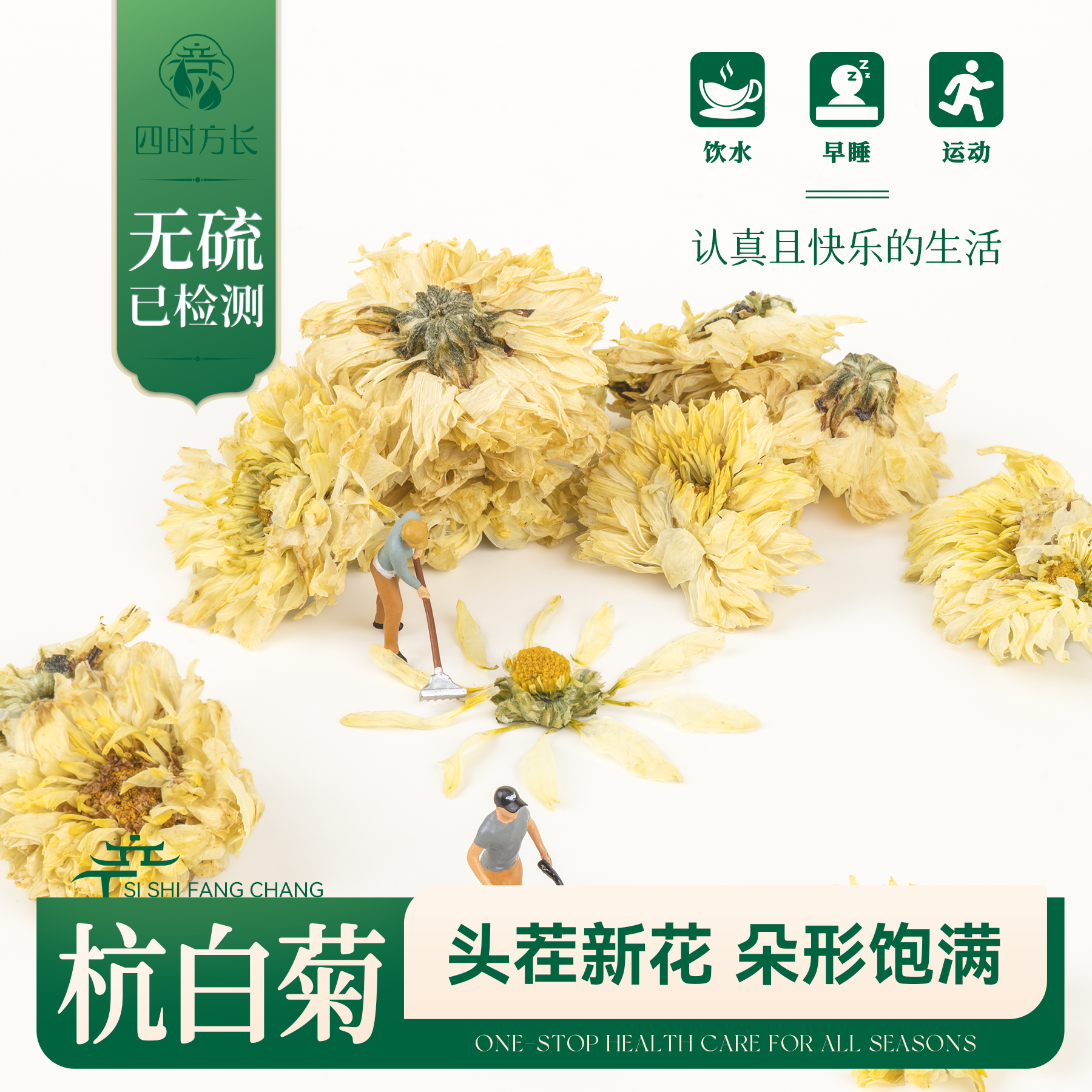 杭白菊无硫桐乡菊花茶胎菊王正品杭菊花茶特级干花杭白菊50g-500g