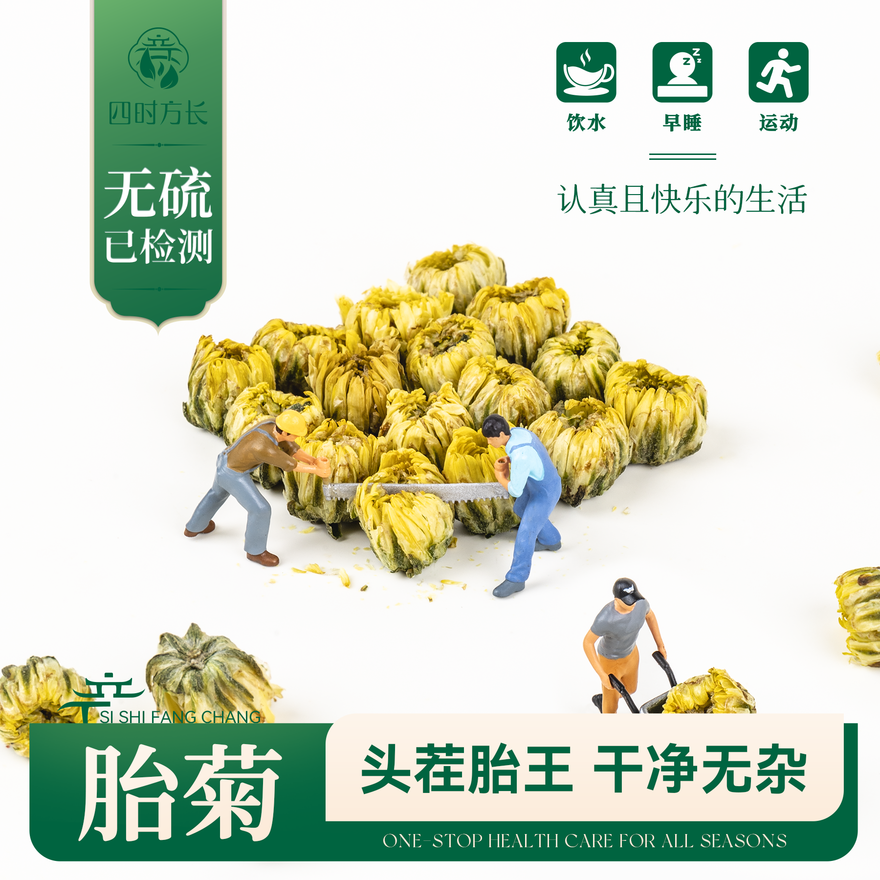 胎菊菊花茶无硫新花茶精选当季新花泡水喝煮水桐乡杭白菊50g-500g