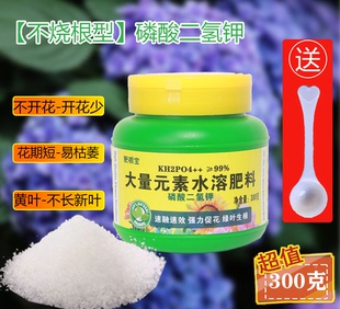 肥根宝磷酸二氢钾正品 花卉专用肥料叶面农用盆栽促花水溶喷施灌根