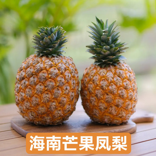 海南芒果凤梨闭眼入不踩雷