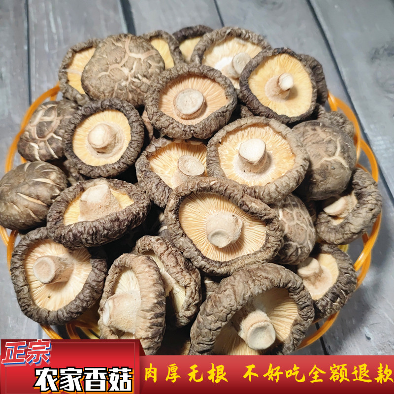 美化文明实践站环境 共筑和谐社会