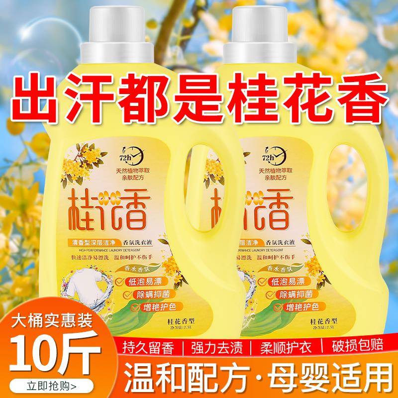 桂花香氛洗衣液男士持久留香72小时香水整箱批家用