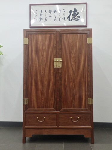 铁力木明清古典家具方角柜衣柜格木东京木柜子厂家直销可定制