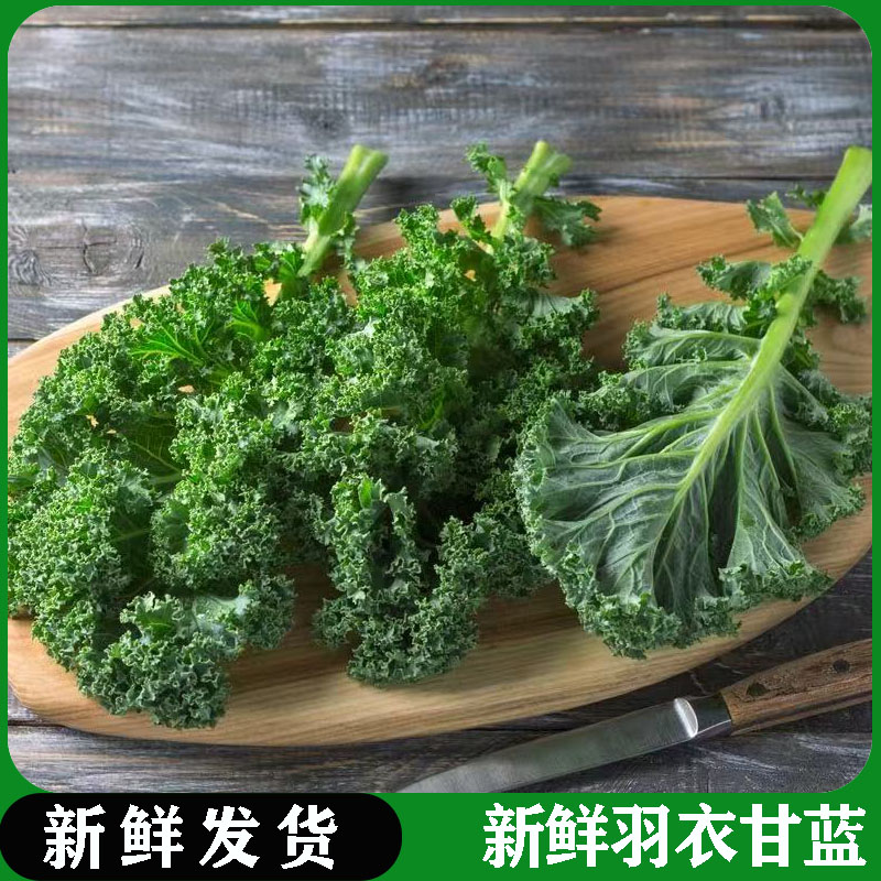 羽衣甘蓝新鲜嫩叶沙拉蔬菜甘兰