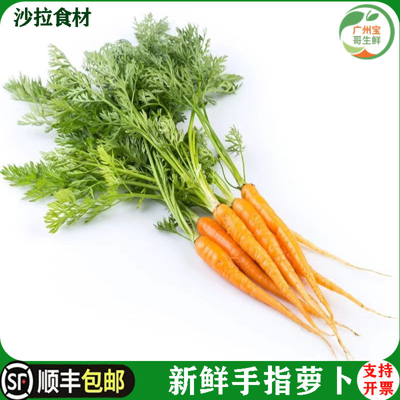 小萝卜蔬菜沙拉西餐食材红萝卜