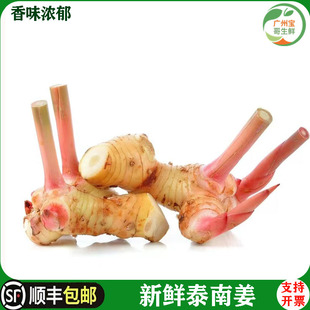 泰国品种白皮南姜新鲜良姜调味调料泰式火锅底料冬阴功食材香料菜