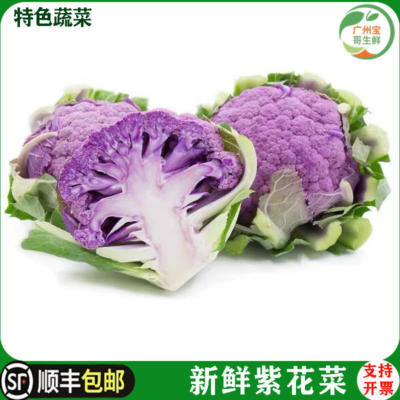 新鲜紫色花菜500g中大颗现摘松花菜紫花椰菜紫菜花时令农家菜