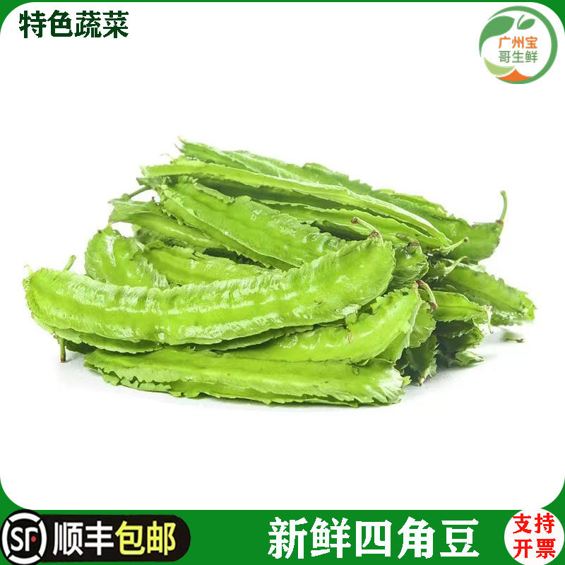 新鲜四角豆海南特产四棱豆龙豆皇帝豆鲜嫩杨桃豆应季热带蔬菜顺丰