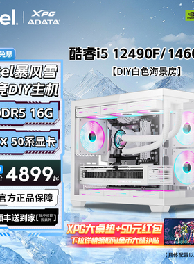 【Intel暴风雪】ultra5/I5-14600KF/5060Ti三角洲行动配置咨询长城S1主机DIY台式机白色海景房游戏电脑整机