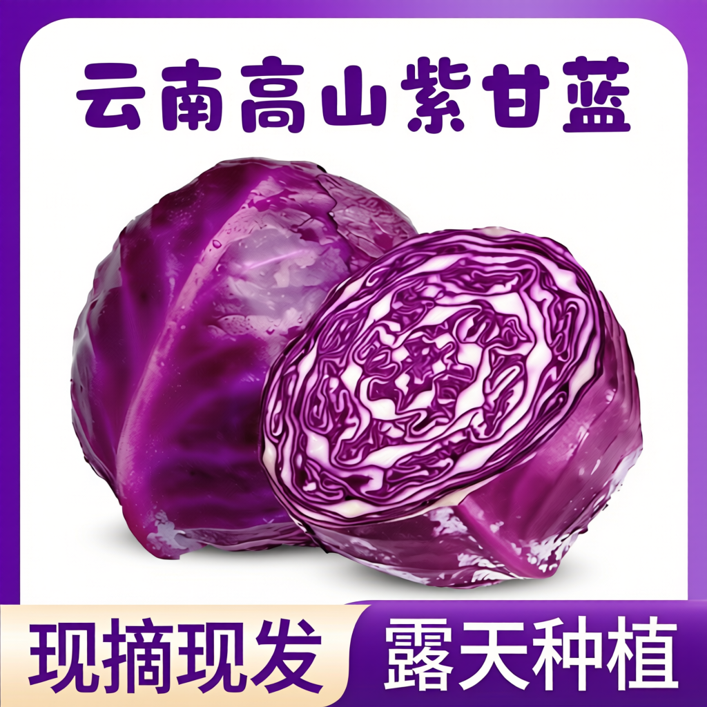 云南高山紫甘蓝农家紫包菜紫色包心菜沙拉蔬菜生食凉拌蔬菜新鲜