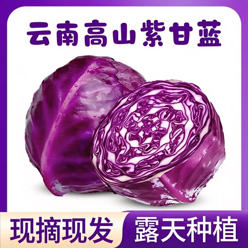 云南高山青麻叶白菜青口白菜