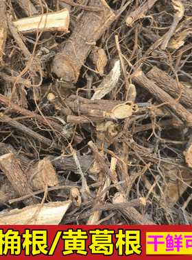中药材黄桷根 黄葛根500g包邮黄葛树叶大叶榕黄桷树根皮 新鲜树皮