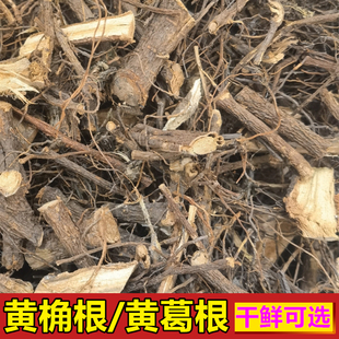 中药材黄桷根 黄葛根500g包邮黄葛树叶大叶榕黄桷树根皮 新鲜树皮