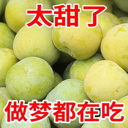 四川脱骨李子青脆李子江安李四川脆骨李纯甜半边红青皮水果新鲜