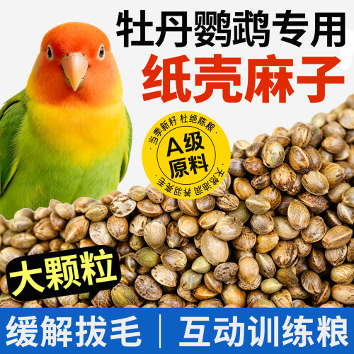 大颗粒纸壳麻子互动训练奖励零食