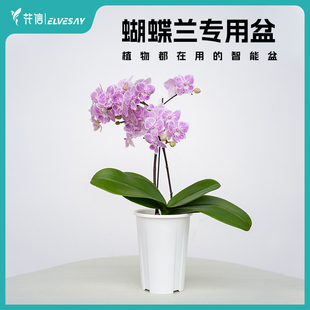 蝴蝶兰专用盆圆盆花信呼吸盆QRT11晨雾晓风透气排水简约高级
