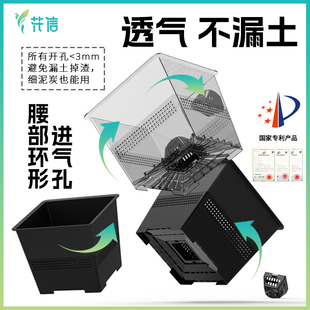 热植盆花信呼吸盆绿植花盆花卉创意花盆海芋蔓绿绒海棠龟背竹花烛