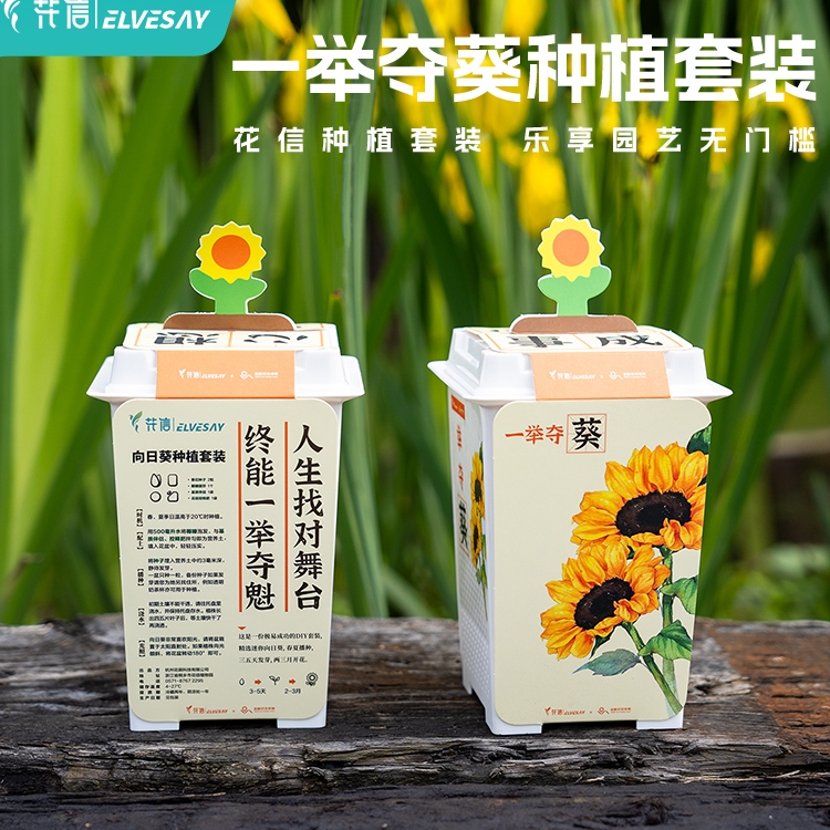 花信向日葵套装礼物仙气满满