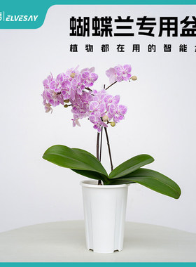 花信呼吸盆QRT11快拆式便捷圆盆热植透气防烂根花烛蔓绿绒通用