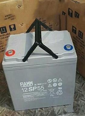 FIAMM蓄电池铅酸电池 12SP55 12V55AH免维护12V太阳能蓄电池