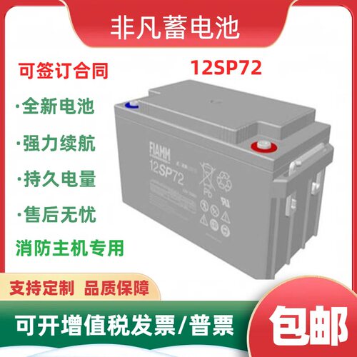 进口FIAMM非凡蓄电池12SP