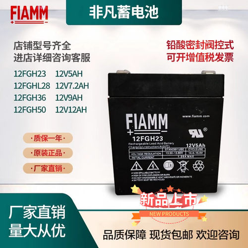 FIAMM非凡蓄电池12FGH36V