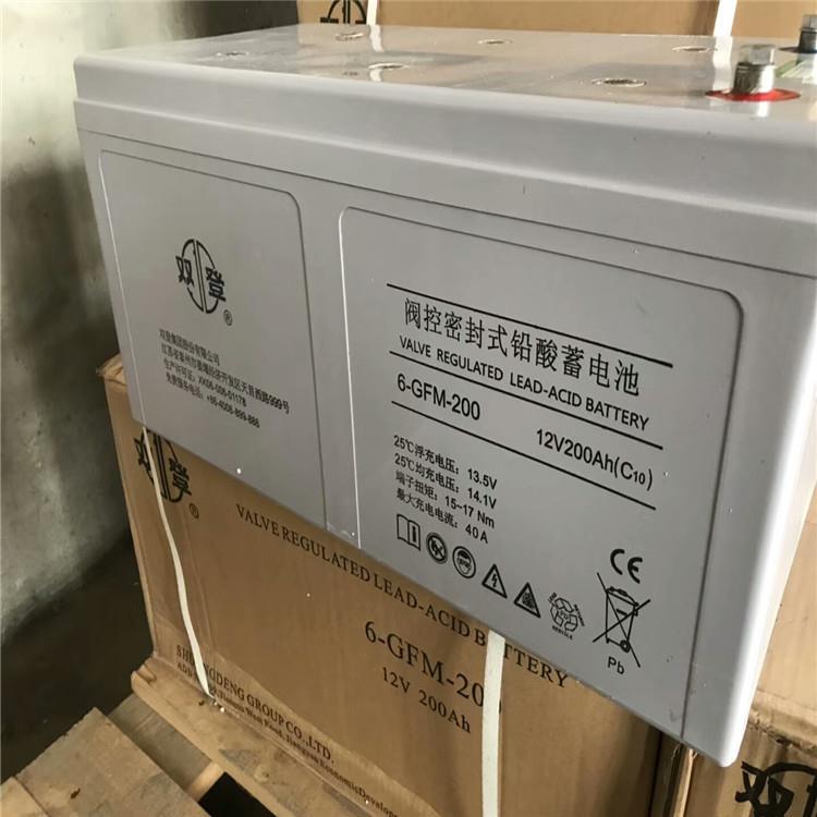 蓄电池12V200Ah免维护电池6-GFM-200足容量 阀控式铅酸蓄电池