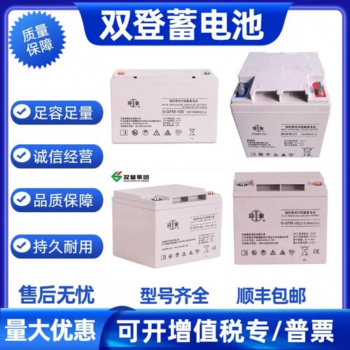双登蓄电池6-GFM-17384