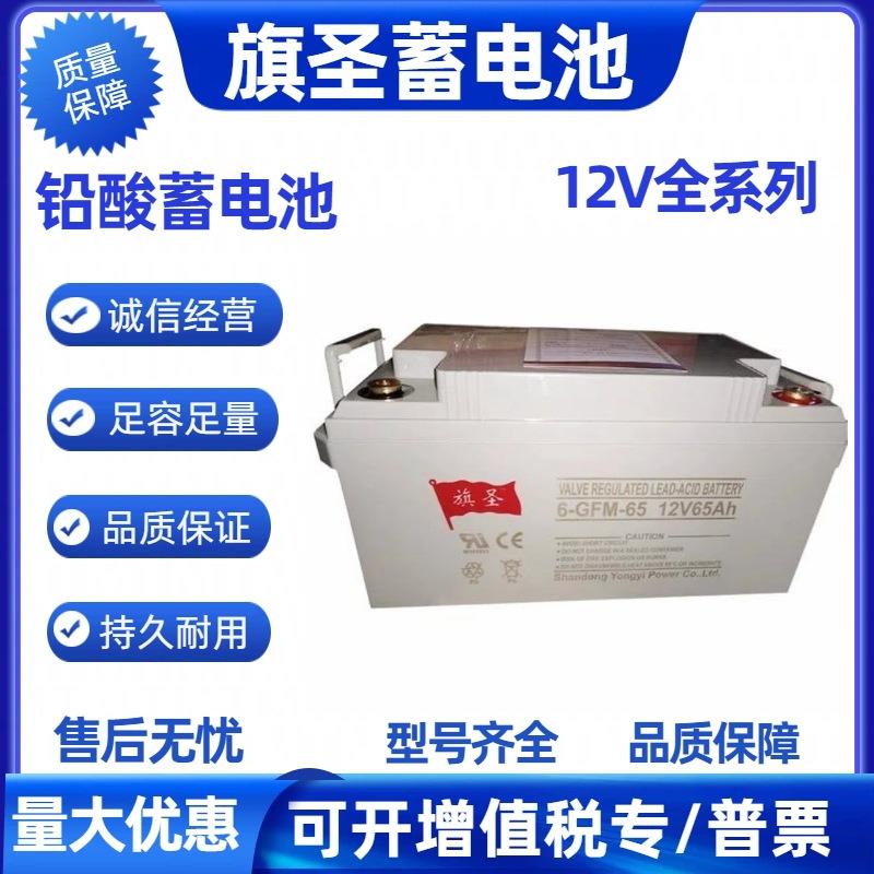 蓄电池12V65AH 6-GFM-65家用大容量 机房UPS路灯监控太阳能