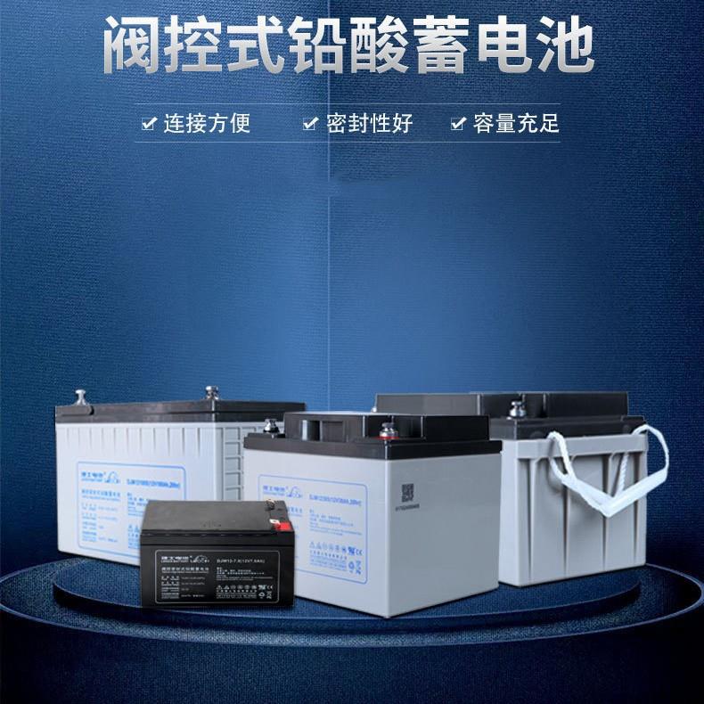 理士蓄电池DJM12100S 12V100ah 24  38 65 120 12 9 7AH 铅酸电瓶