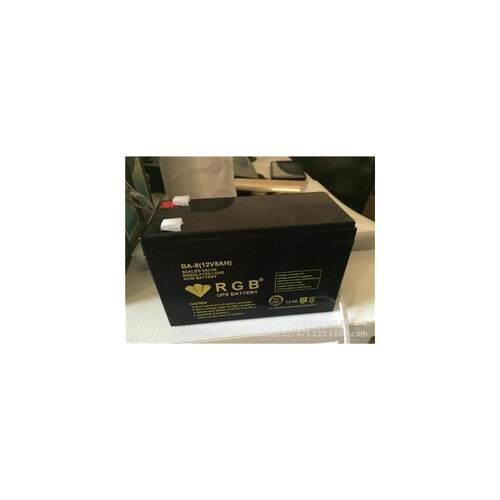 美国RGB蓄电池BA-812VH