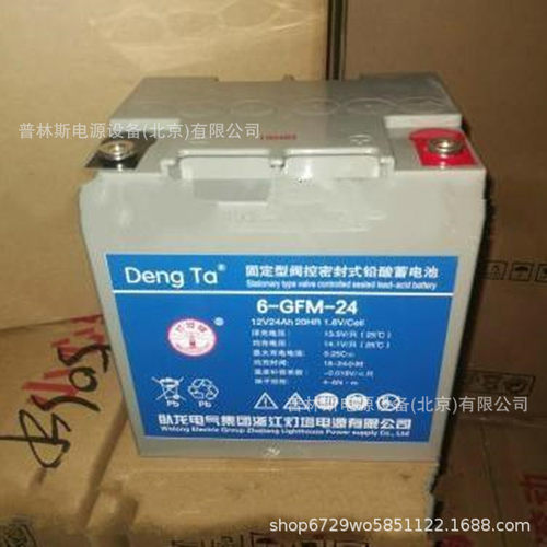 DengTa/灯塔6-GFM-24蓄电