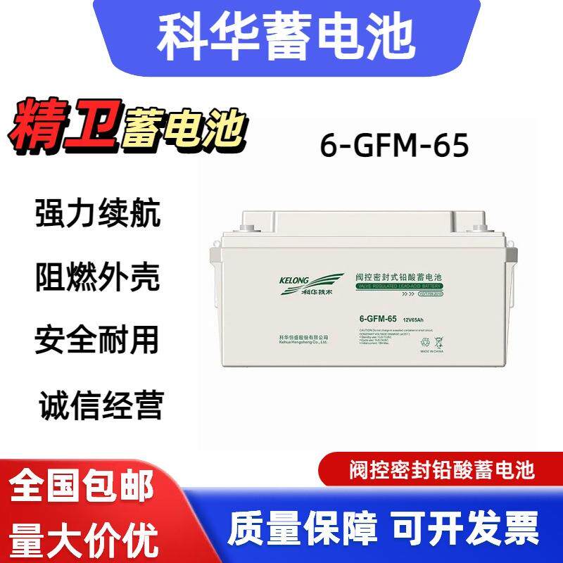 蓄电池6-GFM-65精华蓄电池 12V65AH直流屏UPS铅酸蓄电池 现货