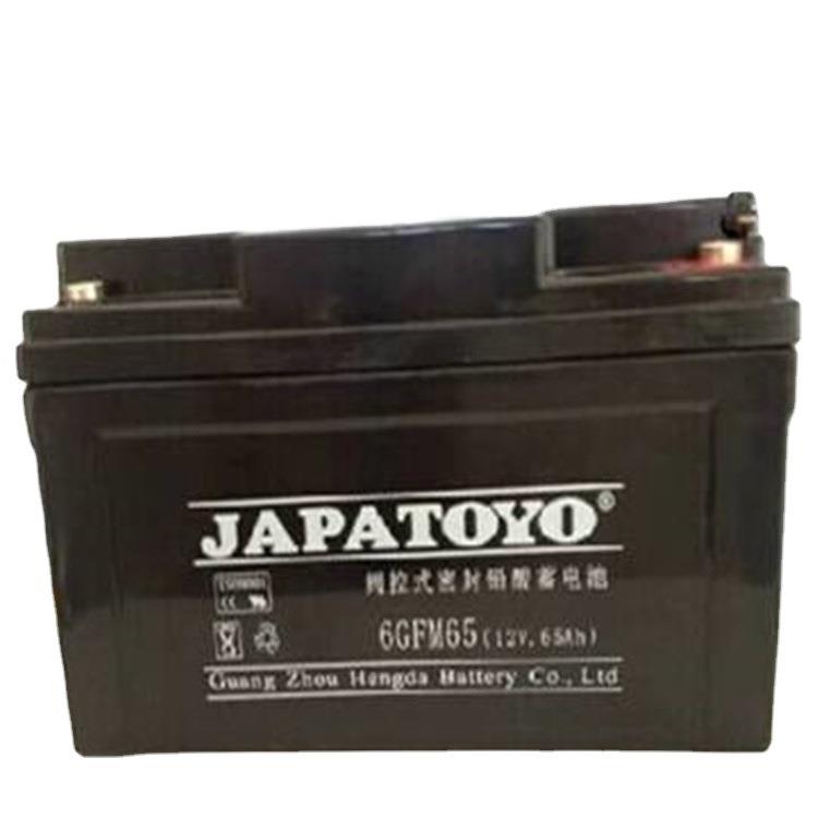 TOYO6GFM65 阀控式铅酸蓄电池12V65ah直流屏UPS电源 质保三年