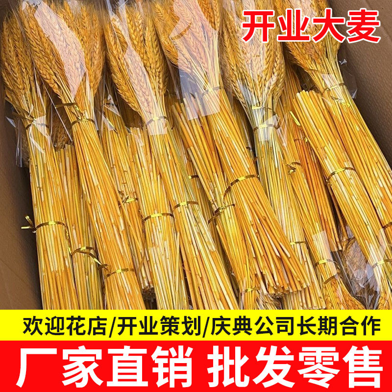 天然花店麦穗批发干花松果银杏叶客厅装饰摆件拍摄道具精品