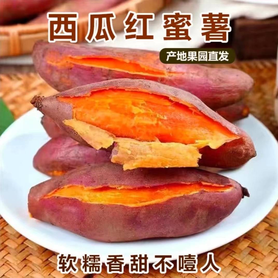 新鲜现挖西瓜红蜜薯地瓜农家自种