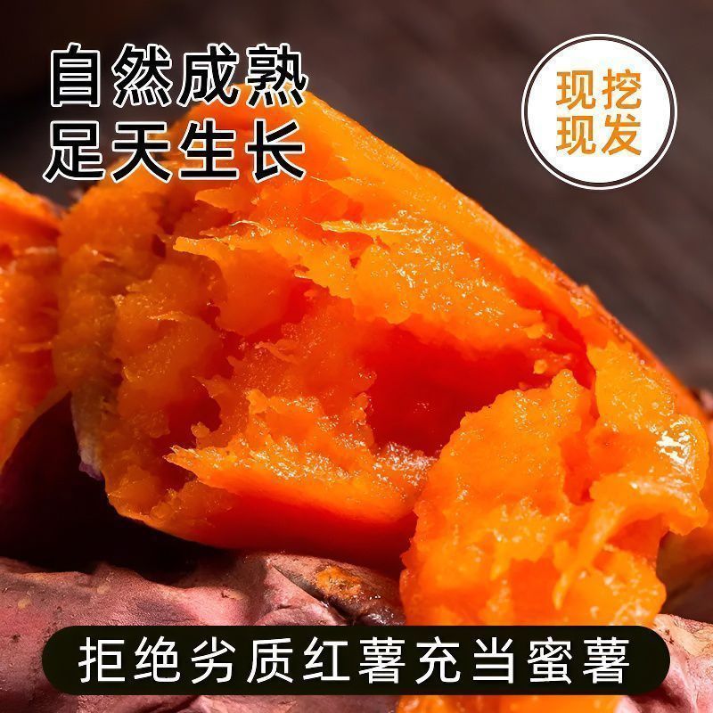 新鲜现挖西瓜红蜜薯地瓜农家自种