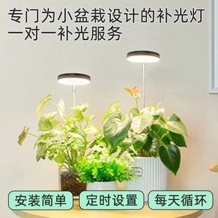 植物补光灯仿太阳全光谱室内阳台农用养殖光照桌面植物灯家用育苗