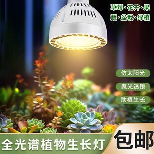 植物补光灯仿太阳全光谱室内阳台农用养殖光照桌面植物灯家用育苗